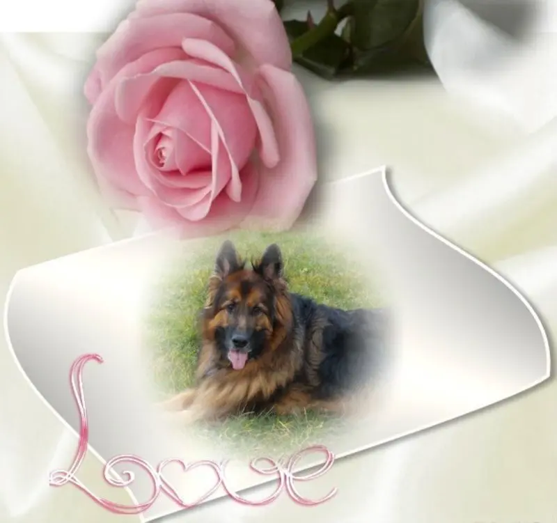 Andachtsbild von ❤️❤️❤️