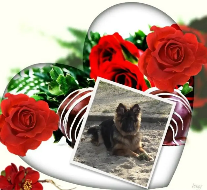 Andachtsbild von Kochany Misiu❤❤❤