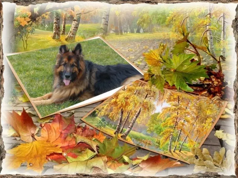 Andachtsbild von Dla Misiulka❤❤❤