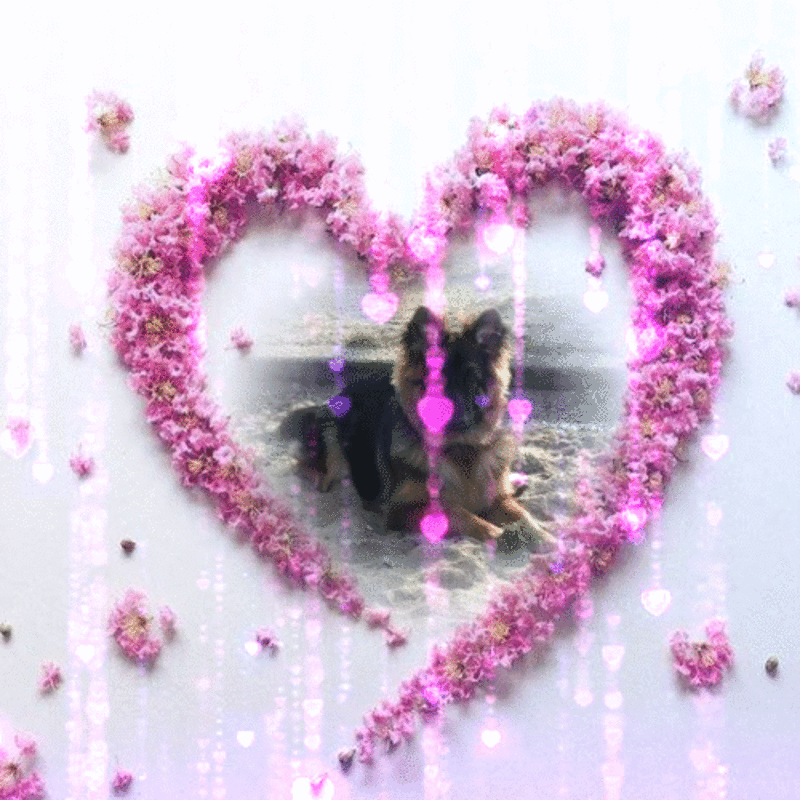 Andachtsbild von Kocham Cię❤❤❤