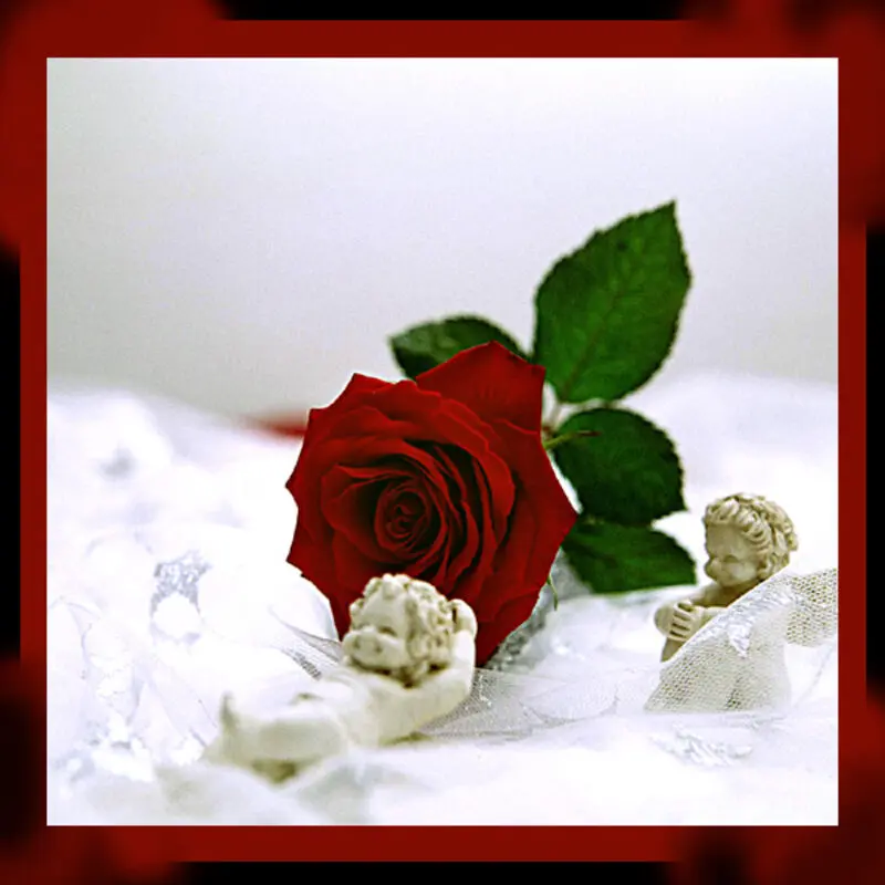 Andachtsbild von Michaela ❤️❤️❤️