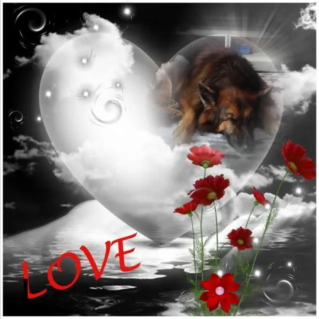 Andachtsbild von Kochany❤️❤️❤️Misiu❤️❤️❤️