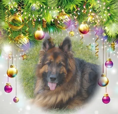 Andachtsbild von Moje Kochanie❤️❤️❤️❤️❤️❤️❤️❤️❤️❤️❤️❤️❤️