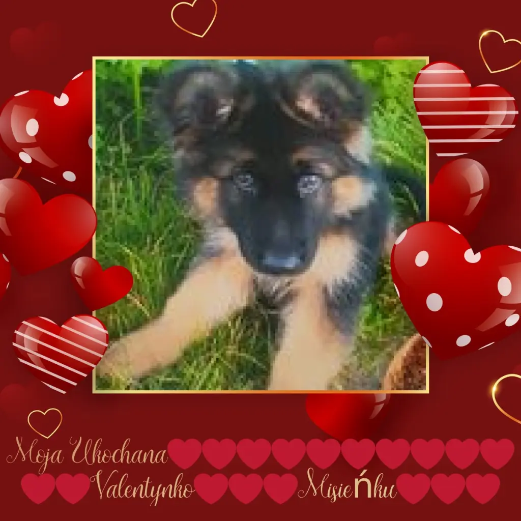 Andachtsbild von Kocham❤️❤️❤️❤️❤️❤️❤️❤️❤️❤️❤️❤️❤️❤️❤️❤️Cię❤️❤️❤️