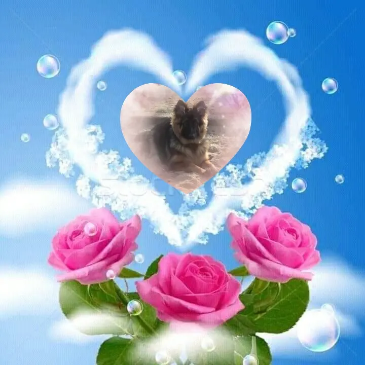 Andachtsbild von Kocham❤️❤️❤️❤️❤️❤️❤️Cię❤️❤️❤️⭐️Misieńku❤️❤️❤️⭐️