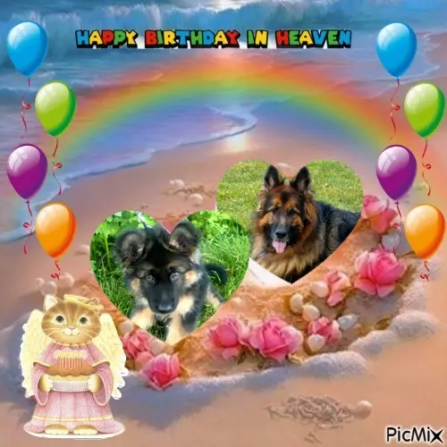 Andachtsbild von 18.Urodzinki❤️❤️❤️❤️❤️❤️❤️❤️❤️❤️❤️❤️❤️❤️❤️❤️❤️❤️Mojego Ukochanego❤️❤️❤️❤️❤️❤️❤️❤️❤️Misieńka❤️❤️❤️⭐️