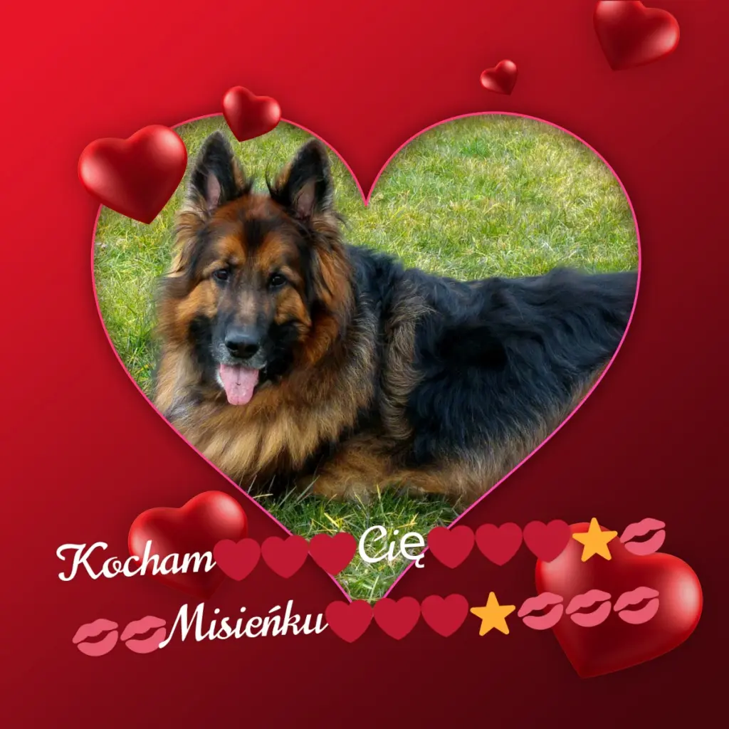 Andachtsbild von Dobrej Nocki❤️❤️❤️Ukochany❤️❤️❤️Misieńku❤️❤️❤️⭐️💋💋💋🫶🫶🫶