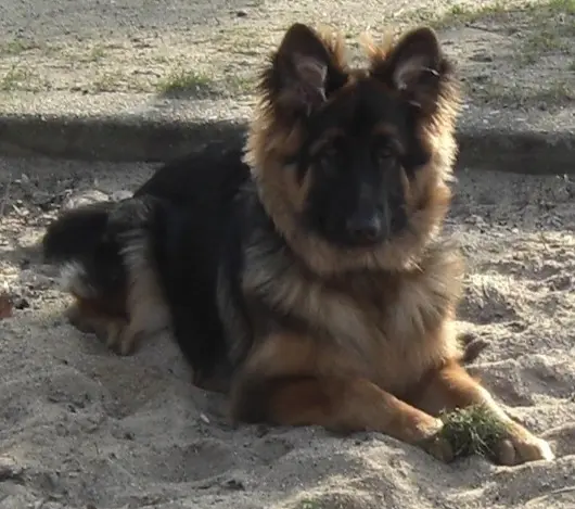 Bild von Misiu❤❤❤