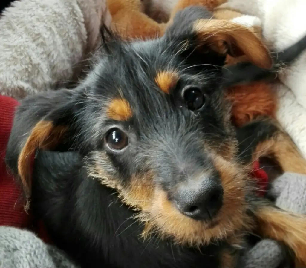 Mein Baby