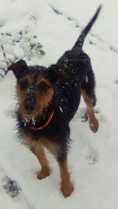 Gisela der Flummi
