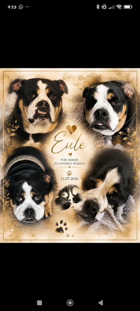 Image from Eule