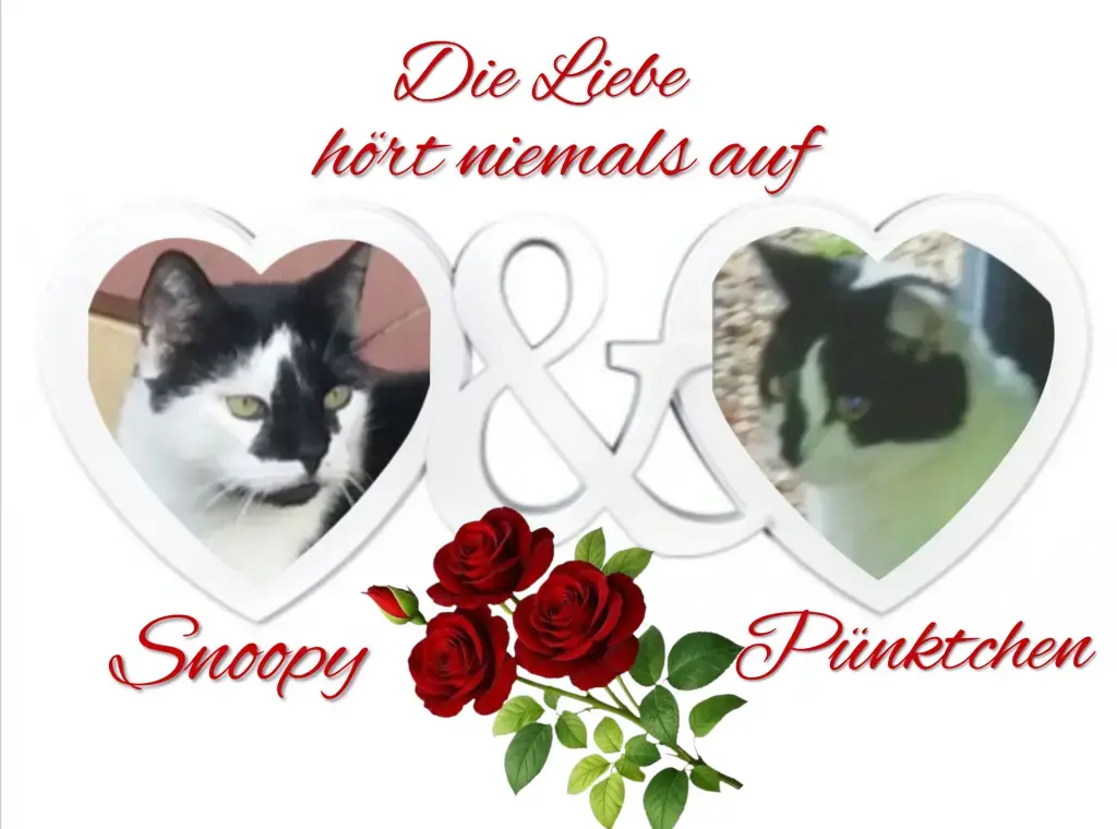 Condolence image of Snoopy und Pünktchen❤️❤️