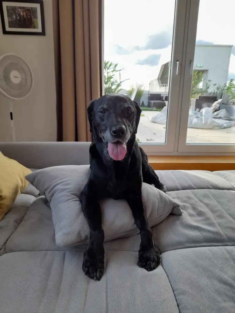 Luna