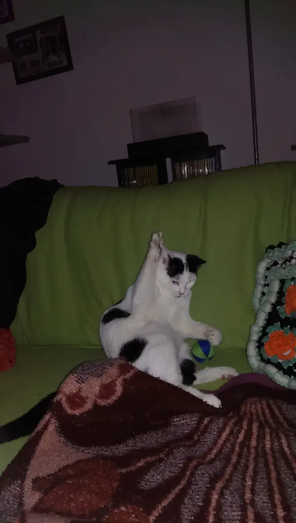 Erstmal Spielen 🙀🙀🙀🙀🙀
