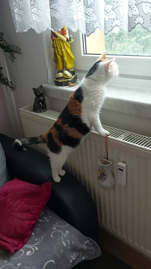 Bild von Susi