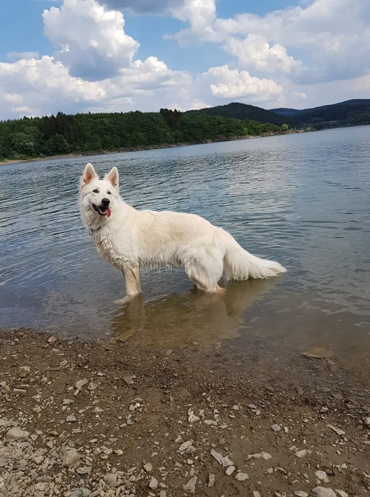 Komm rein, ist schön frisch!