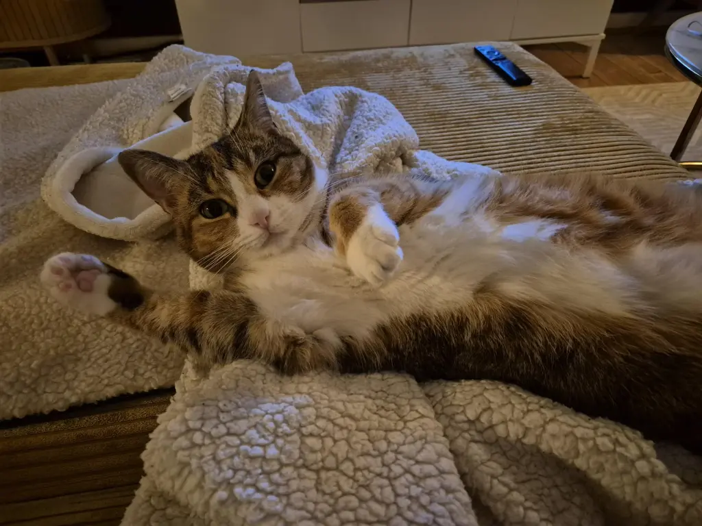 Immer bei Mama