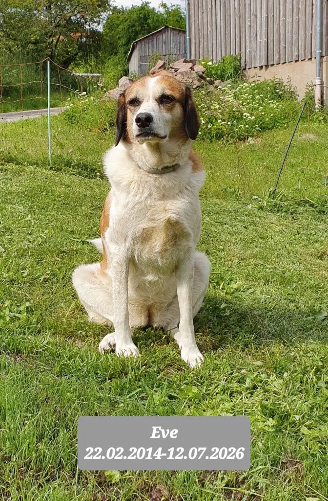 Bild von Eve