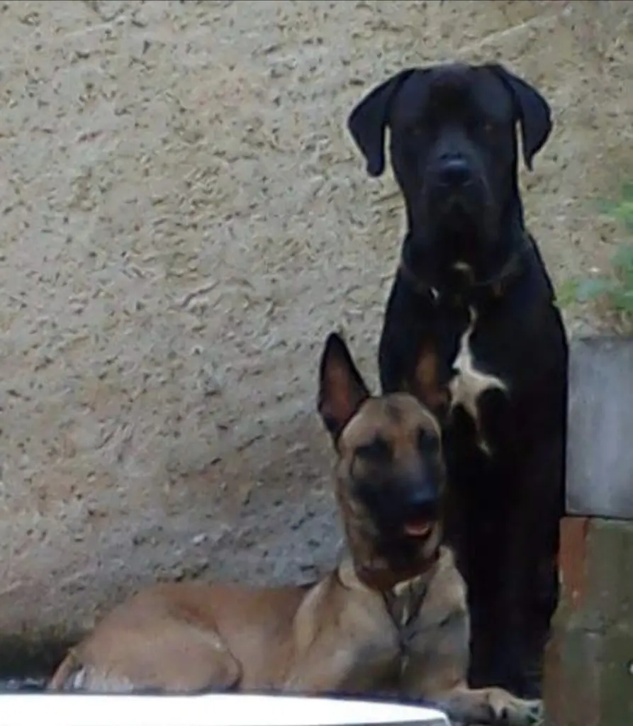 Image from Angel