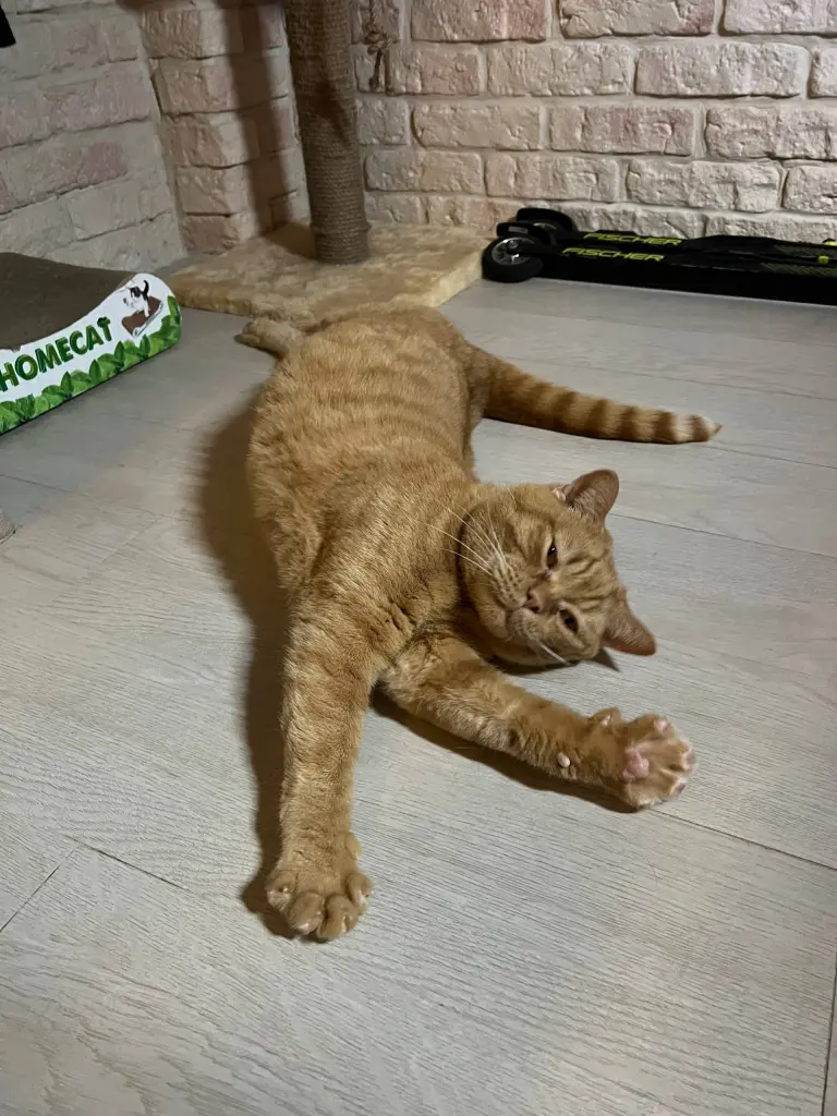 Image from Twix