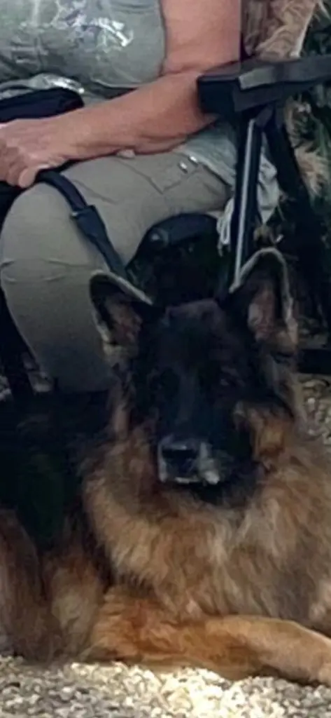 Condolence image of Frauchen