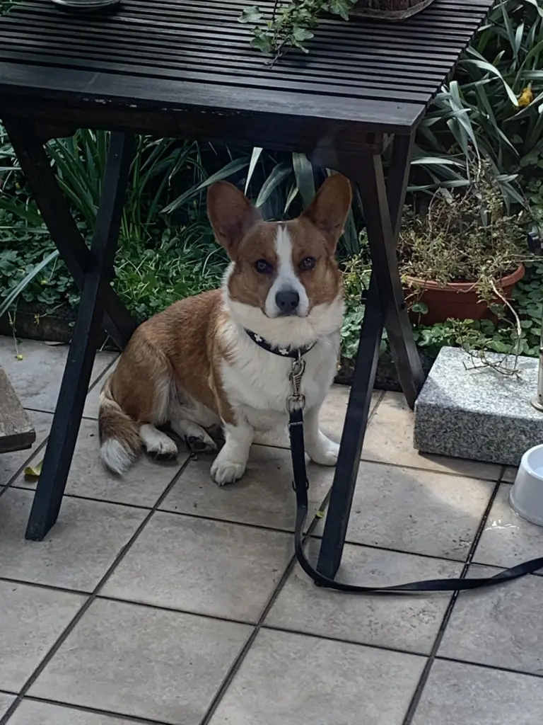 Image from Monty
