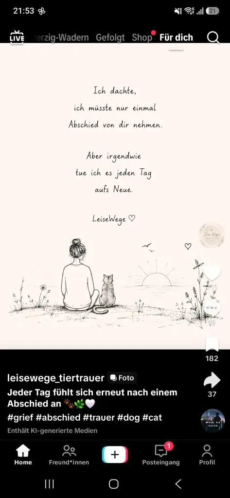 Condolence image of Claudia Schöppe Mit Jacky&Kira&Saphiro ❤️