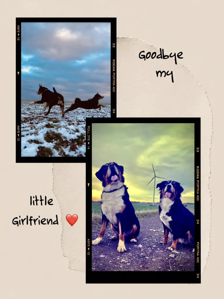 Condolence image of Peggy