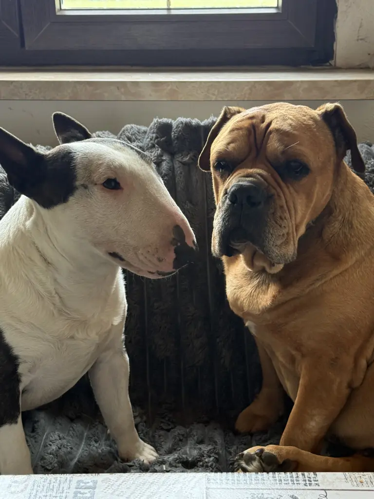 Fine & Siggi
🥰🥰🥰🥰