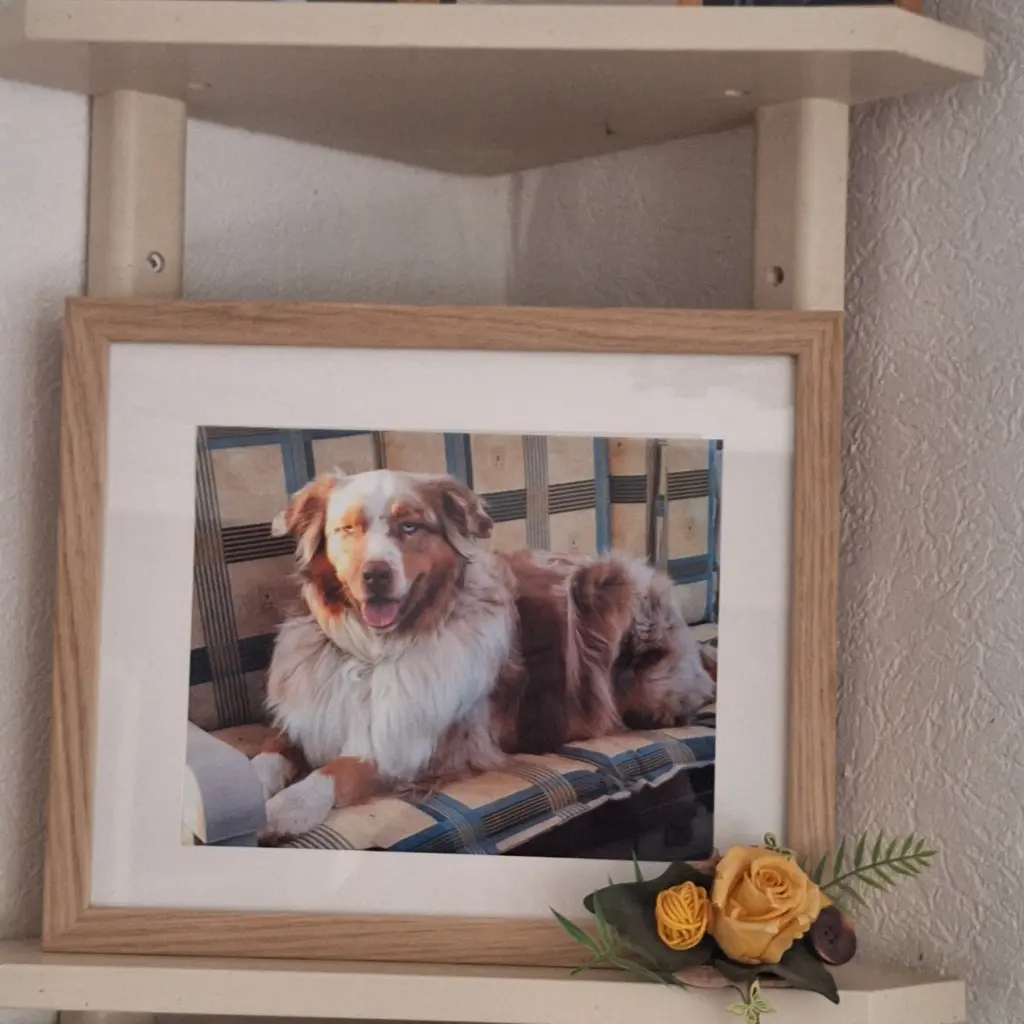 Condolence image of Marion Diener