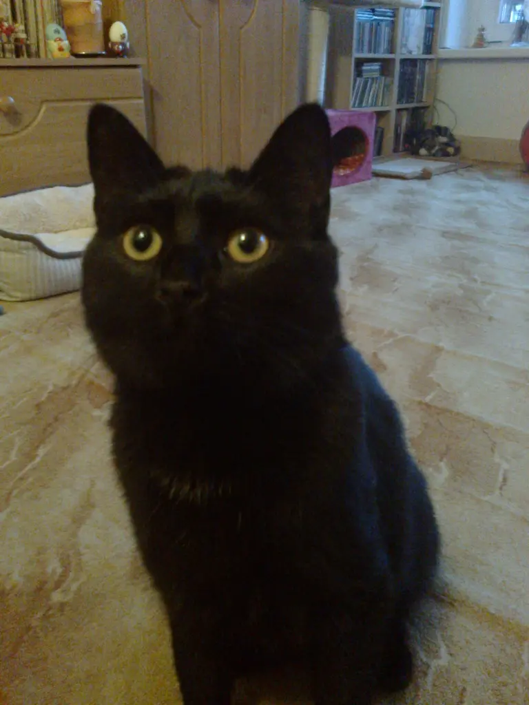 Bild von Lilly