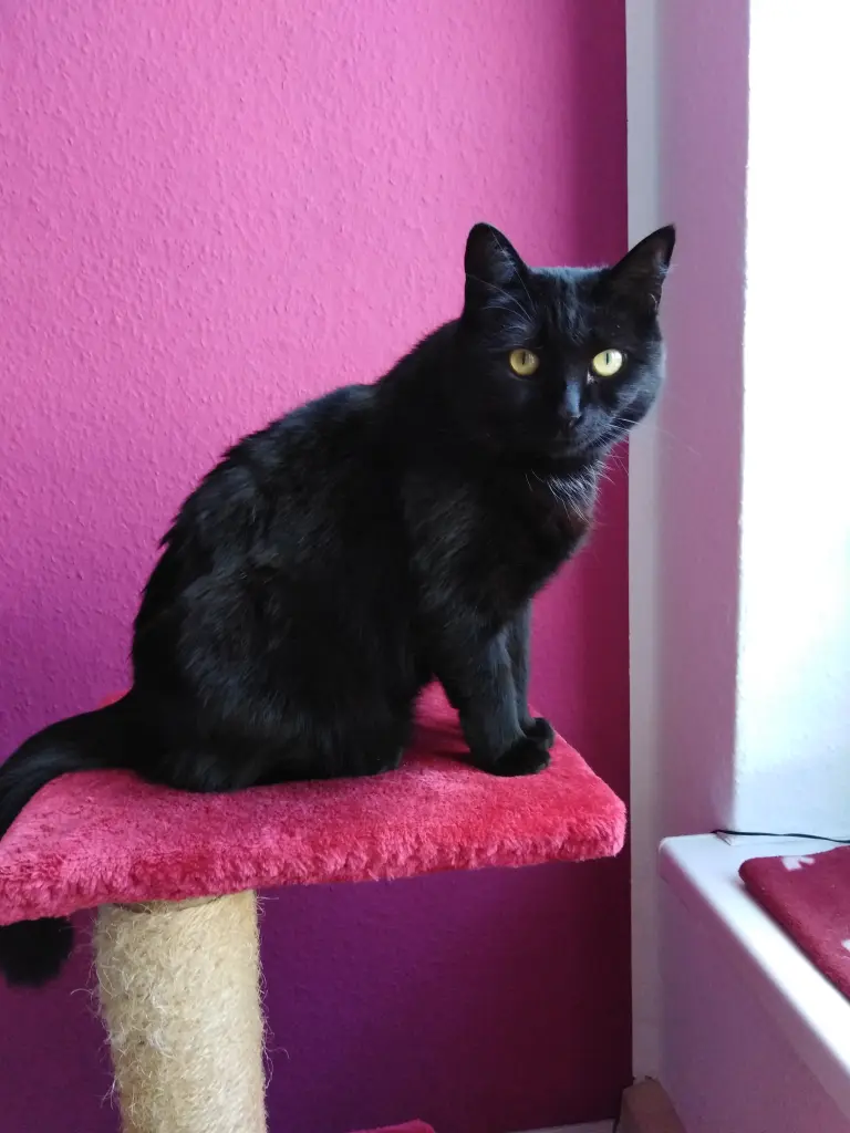 Bild von Lilly