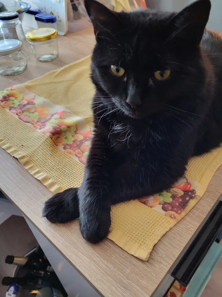 Bild von Lilly