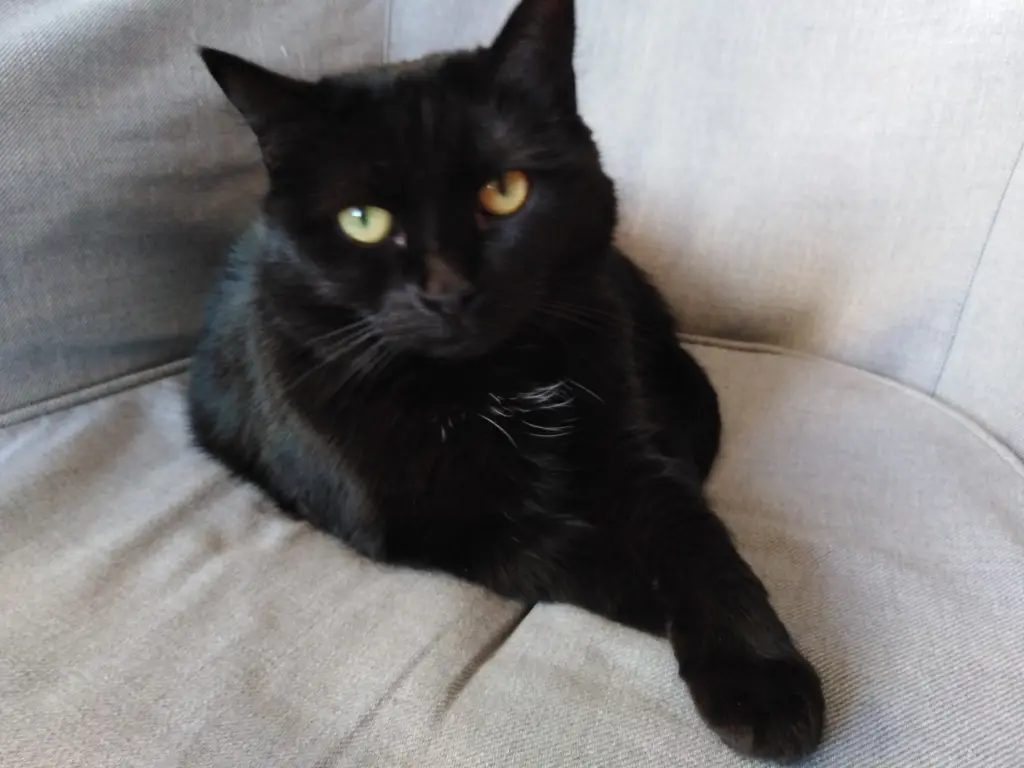 Bild von Lilly