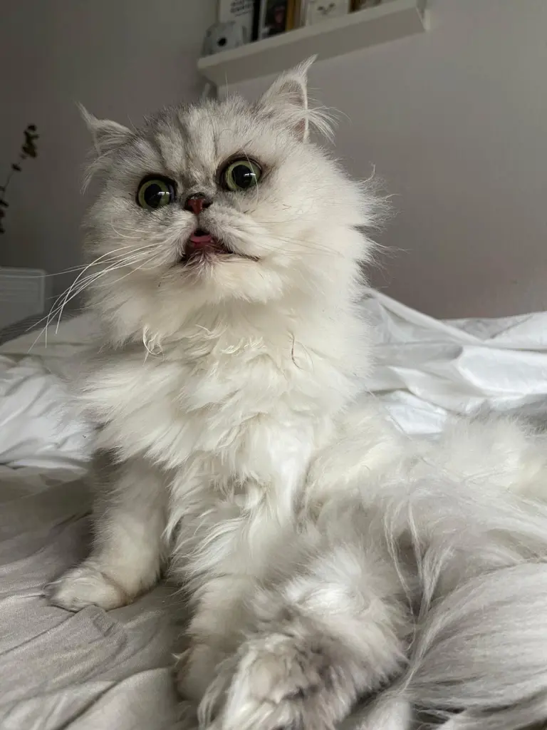 🥺❤️❤️