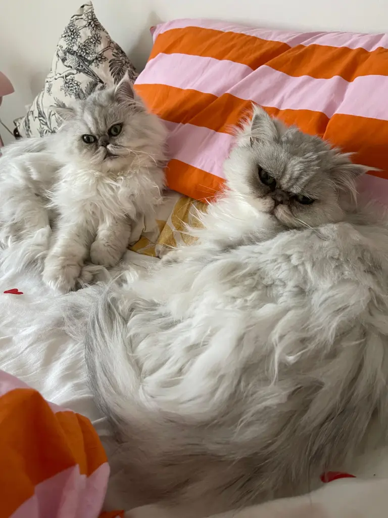 Geschwisterliebe 🥺❤️