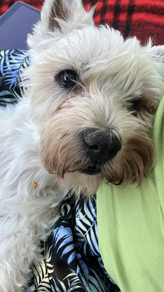 Bild von Benny