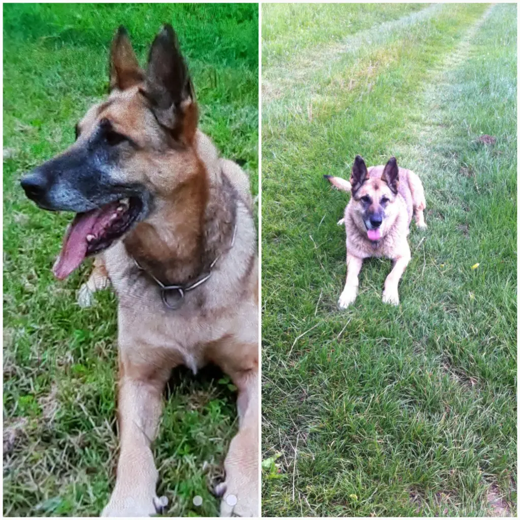 Andachtsbild von Claudia mit Tara im Herzen