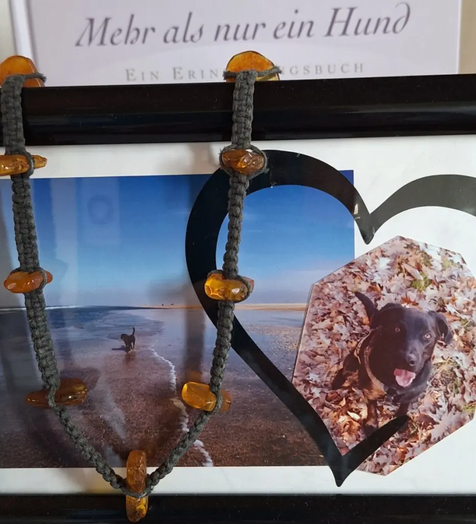 Bild von Bagira
