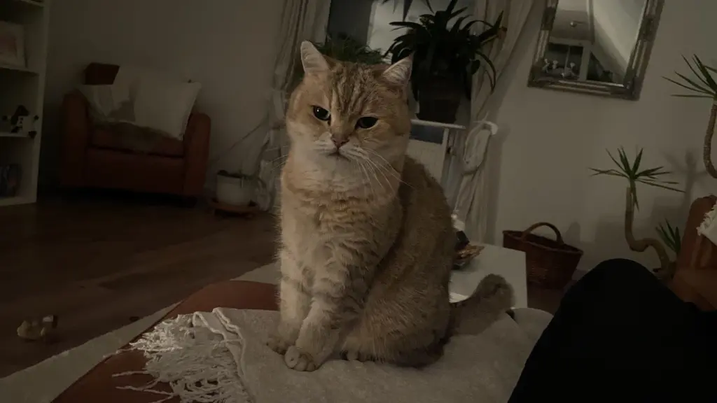 Condolence image of Viola Kemmesies