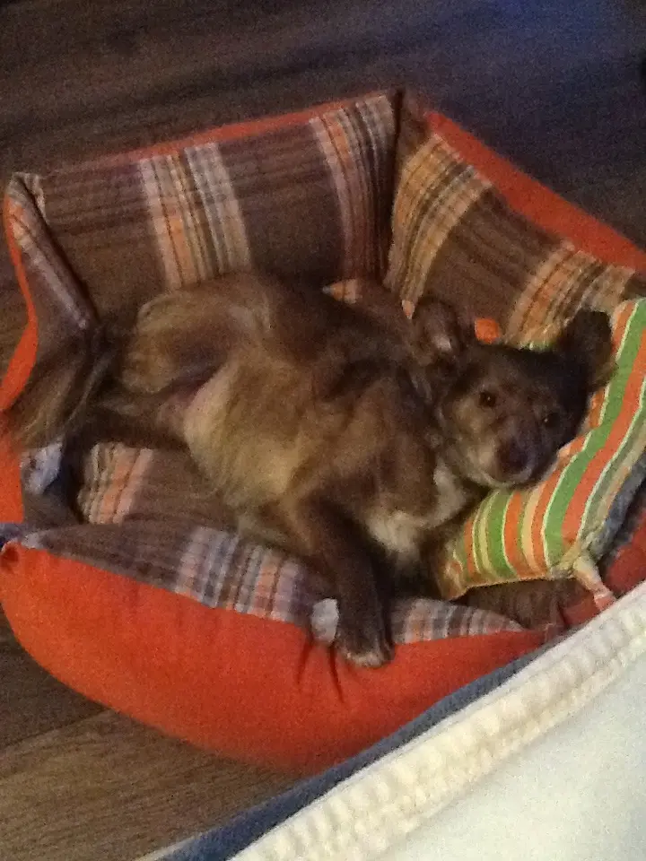Image from Sofie