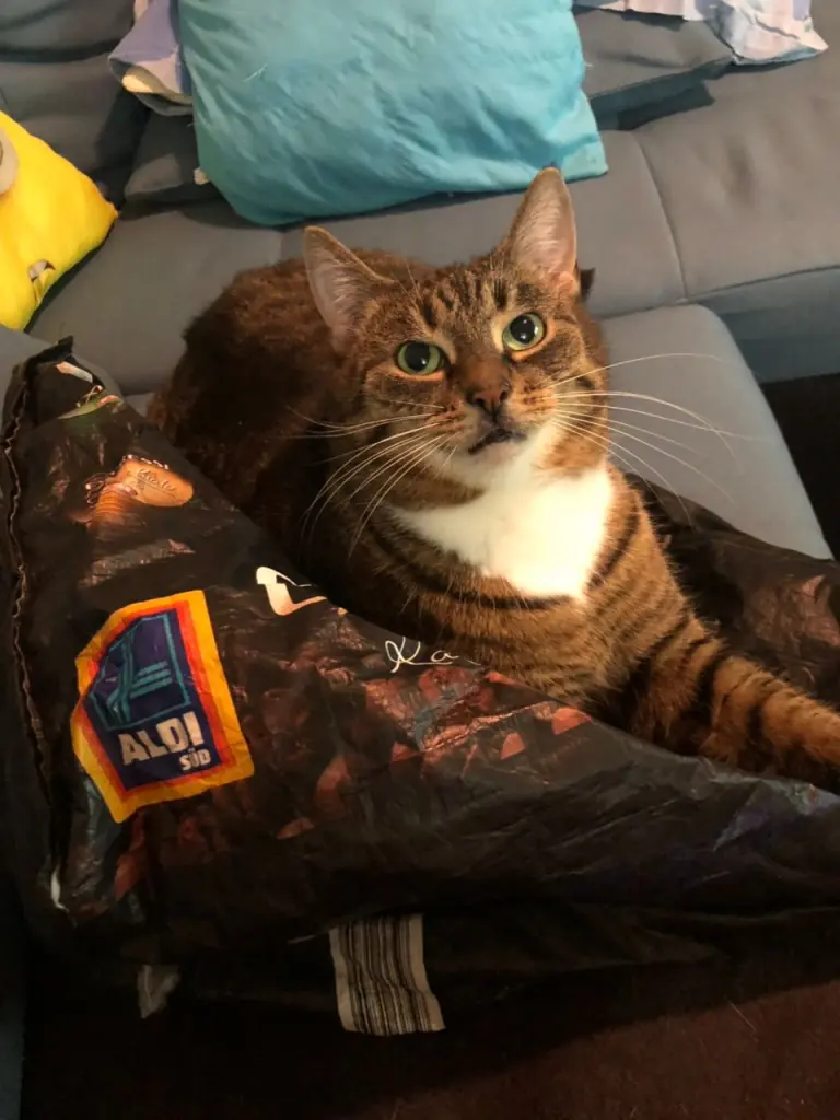 Image from Fräulein Flauschig