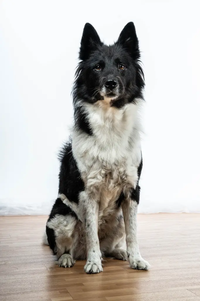 Bild von Samantha