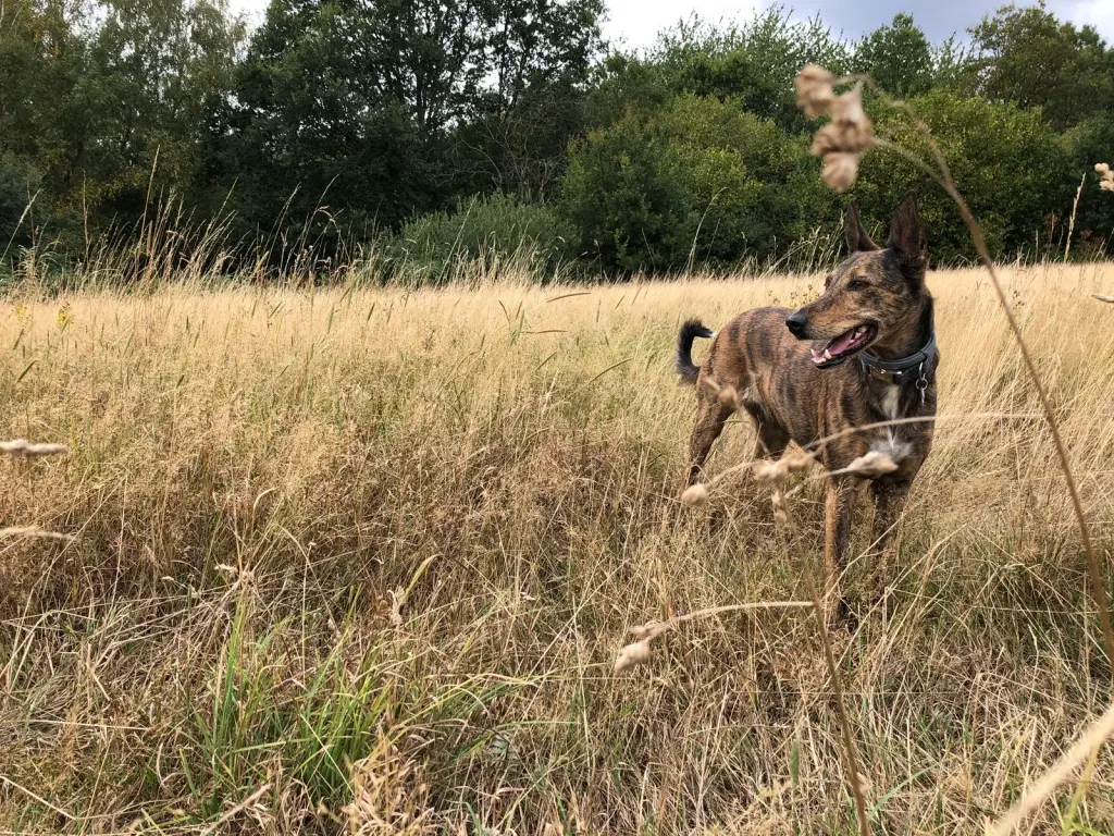 Bild von Ella