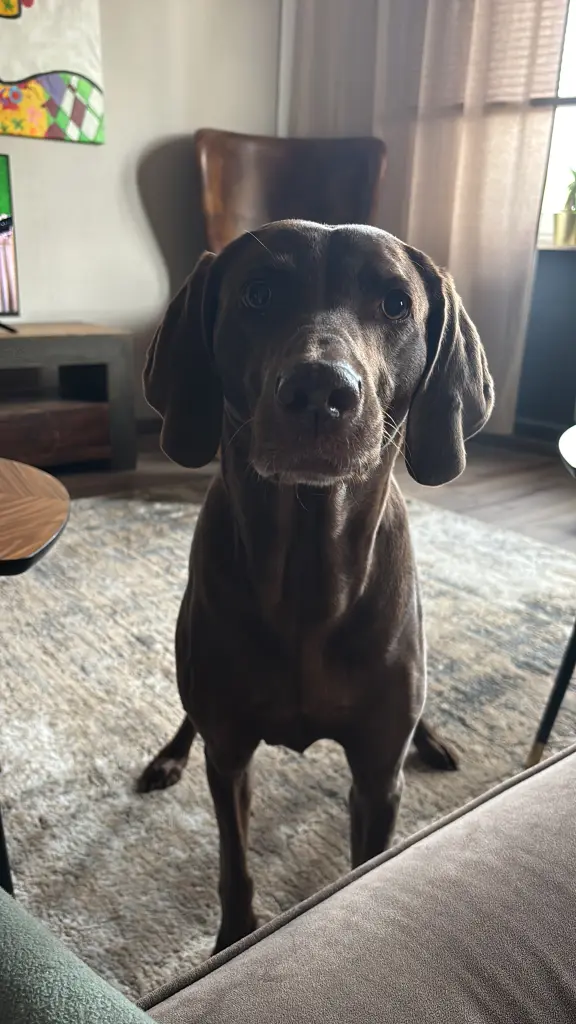 Bild von Nala