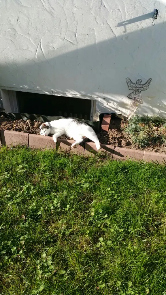 Bild von Mia