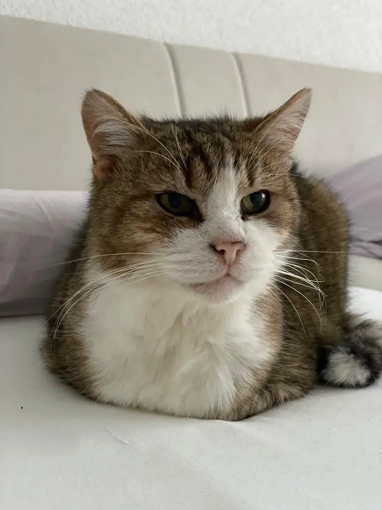 Bild von Lucky