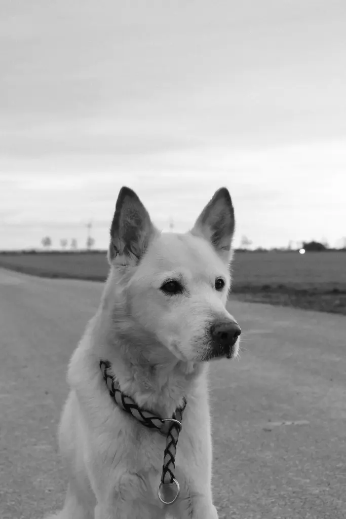 Condolence image of Simone