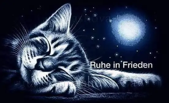 Condolence image of Florence Gracin (Cats Inn)