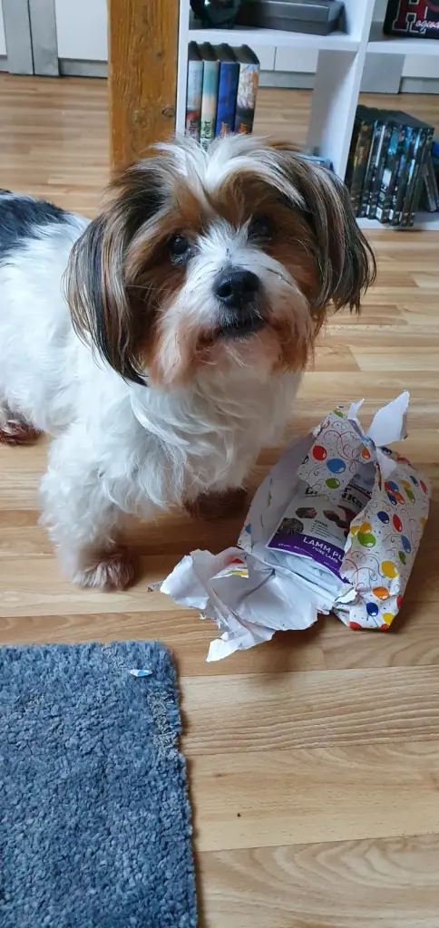 Geburtstagsgeschenk ausgepackt